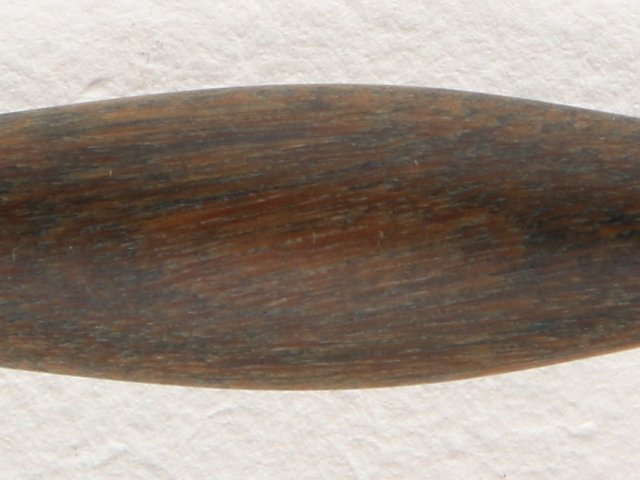 Lignum Vitae
