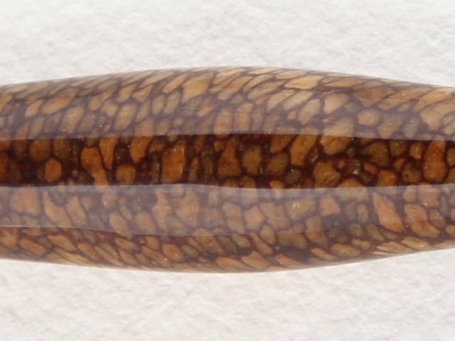 Spalted Cainito wood